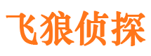 任城飞狼私家侦探公司